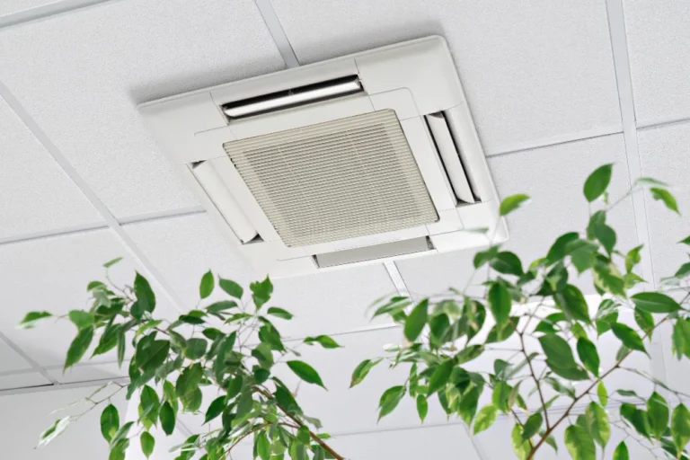 closeup-cassette-air-conditioner-ceiling-modern-light-office-apartment-with-green-ficus-plant-leaves-indoor-air-quality-1024x683