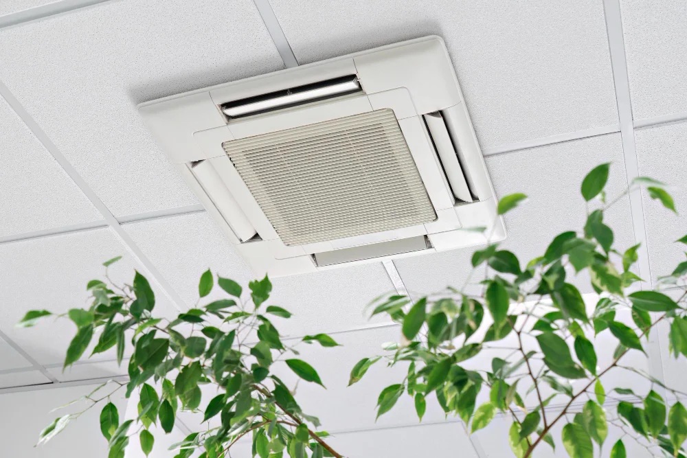 closeup-cassette-air-conditioner-ceiling-modern-light-office-apartment-with-green-ficus-plant-leaves-indoor-air-quality-1024x683